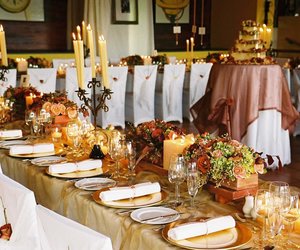 Treat Your Palate to the Taste Journey Everybody Loves